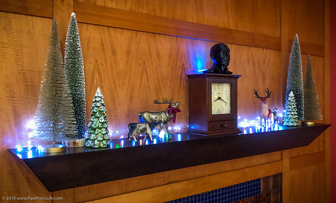 Holiday decorations on mantle, small trees 12-2019_9083_for web