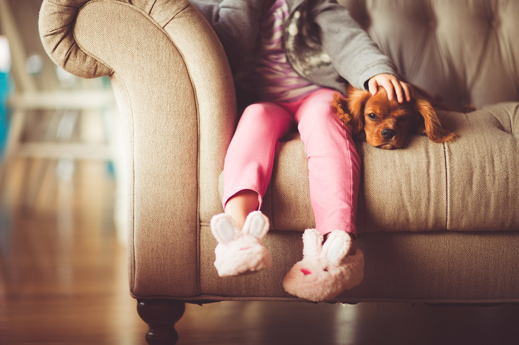A Tip For Airbnb Hosts With Pets Hosting AirBnB Hosts Forum