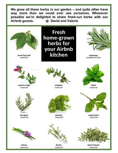 HerbsUpdate2023-d_001