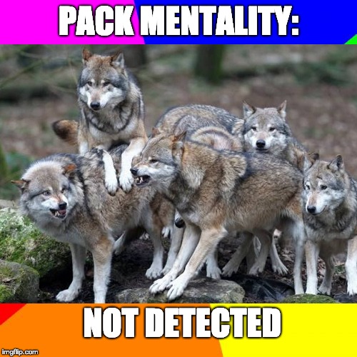PackMentality