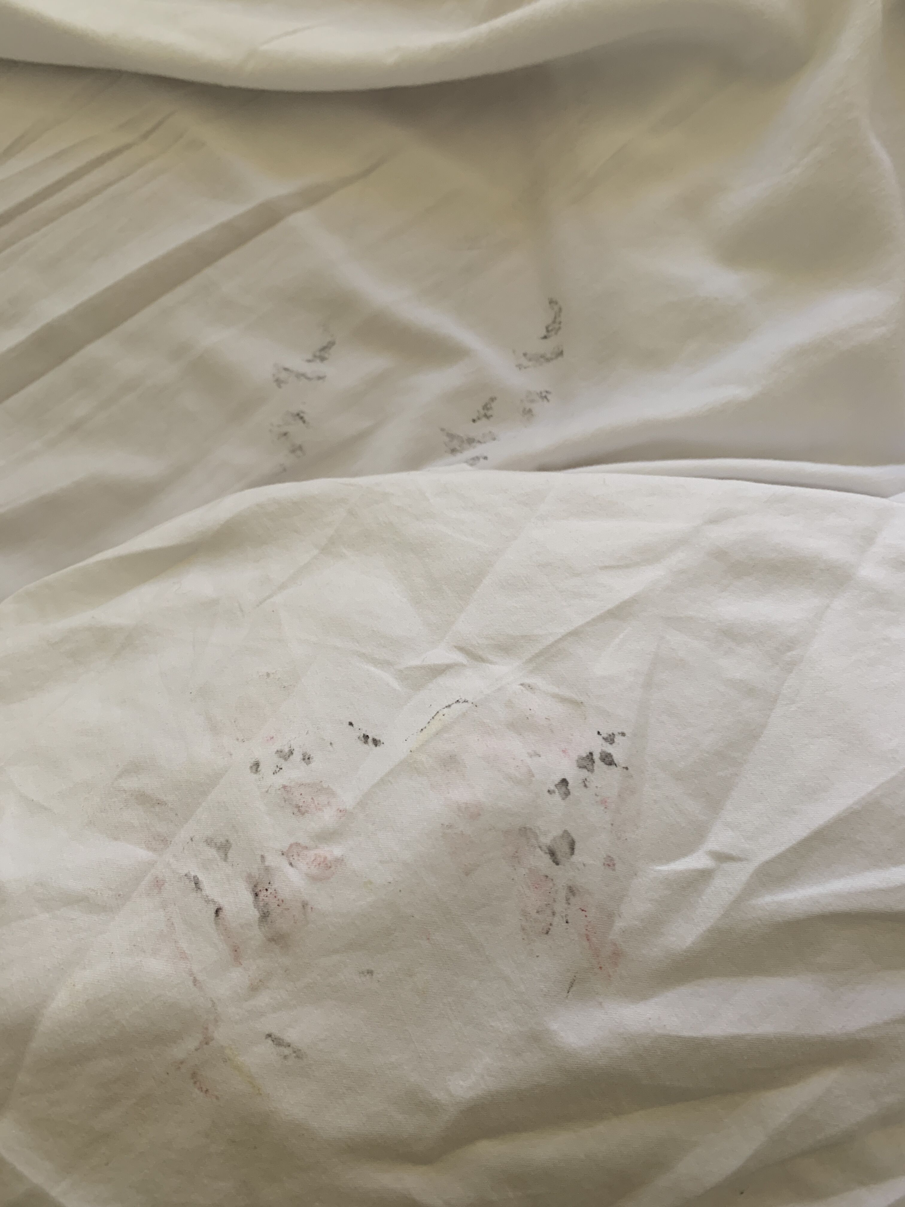 How to get tattoo ink out of bed sheets