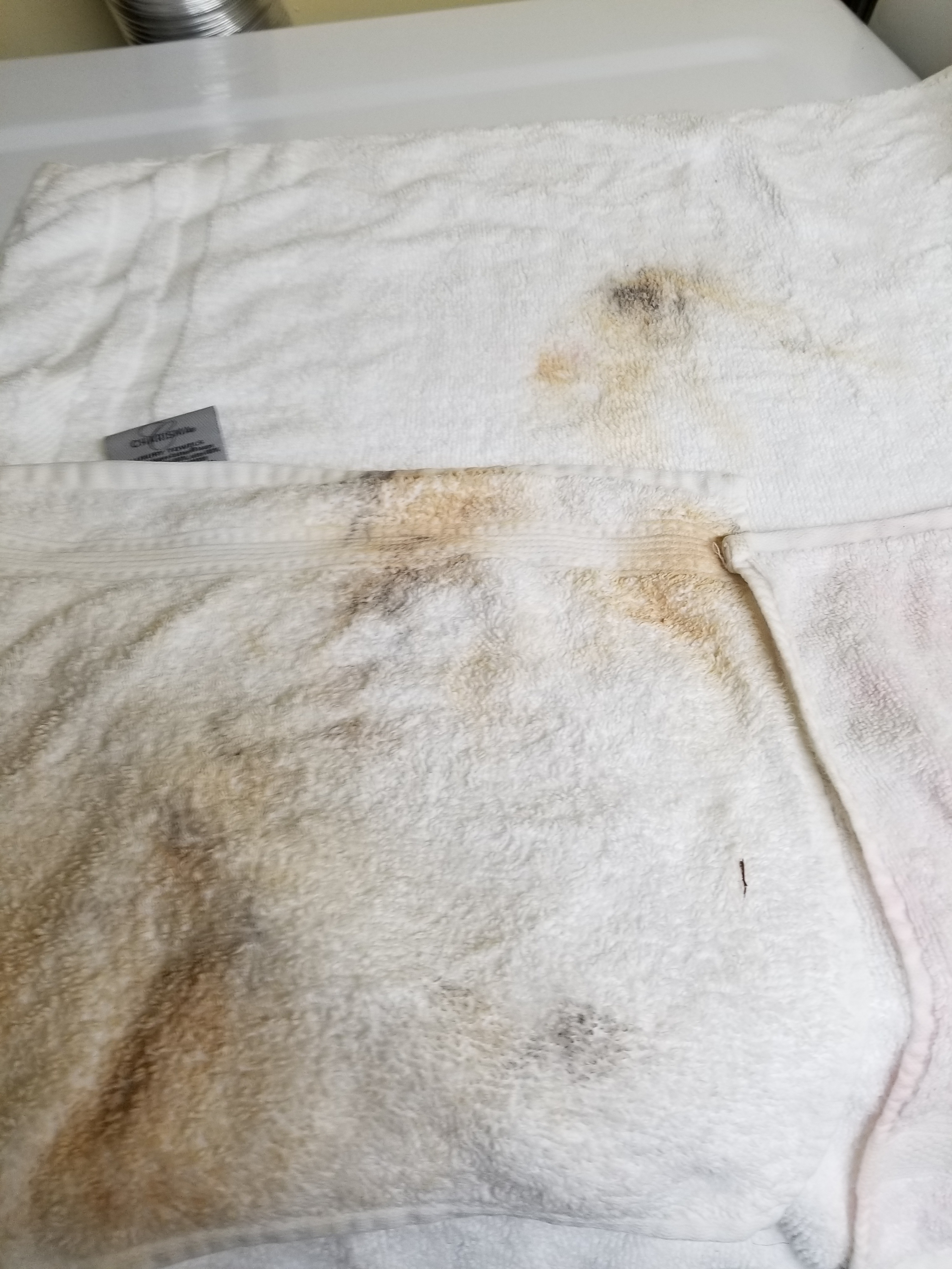 Who Does This We Are Your Airbnb Hosts Forum