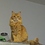 Briarwood_Julie