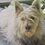 Jean_Kempthorne