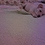 Lily_Blake