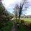 Peter_Ryan