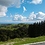 Sharon_Lowdon