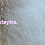 staytra staytra