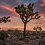 Tranquility_Base Tranquility_Base